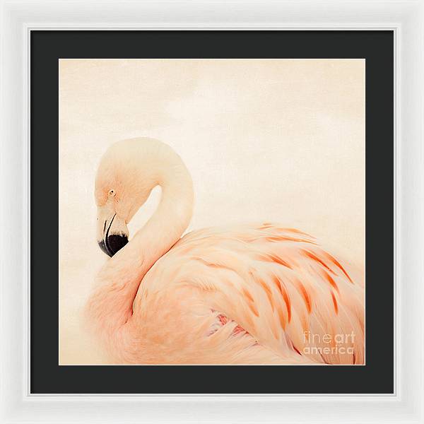Pink Flamingo - Framed Print