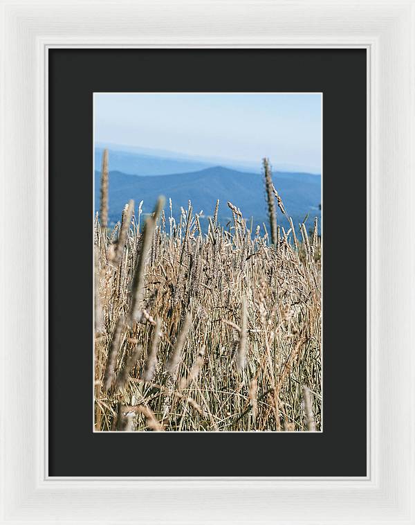 Along the Skyline - Shenandoah National Park - Framed Print