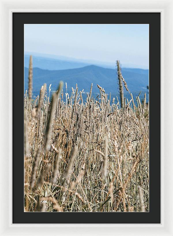 Along the Skyline - Shenandoah National Park - Framed Print