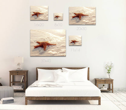 Cotton Photography Print | Rustic Farmhouse