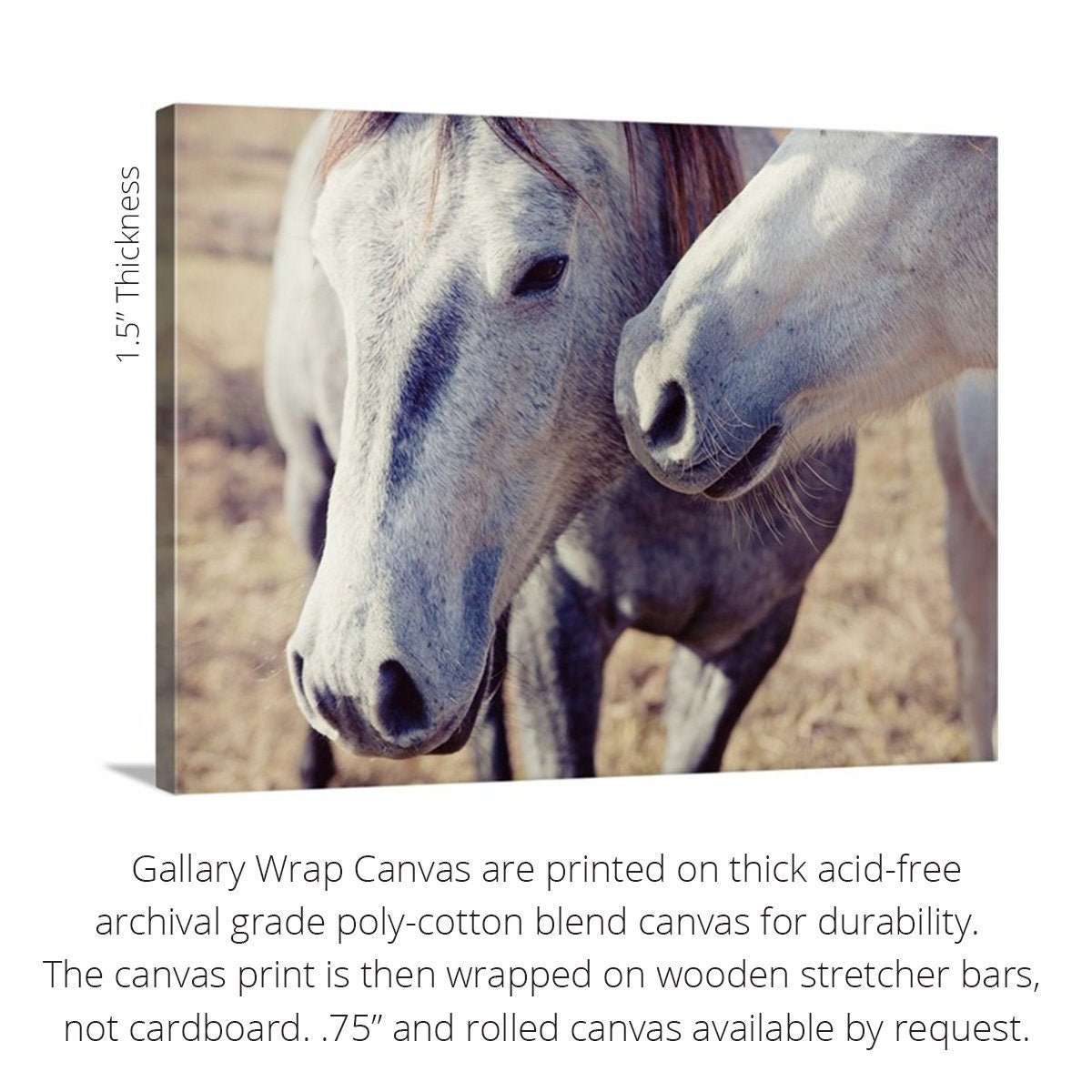 Cotton Photography Print | Rustic Farmhouse
