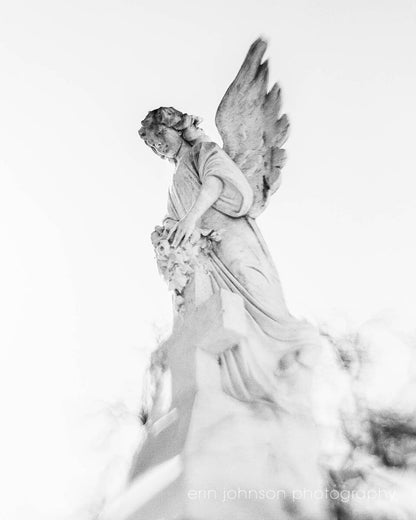 Black and White Angel Prints Collection | New Orleans Louisiana