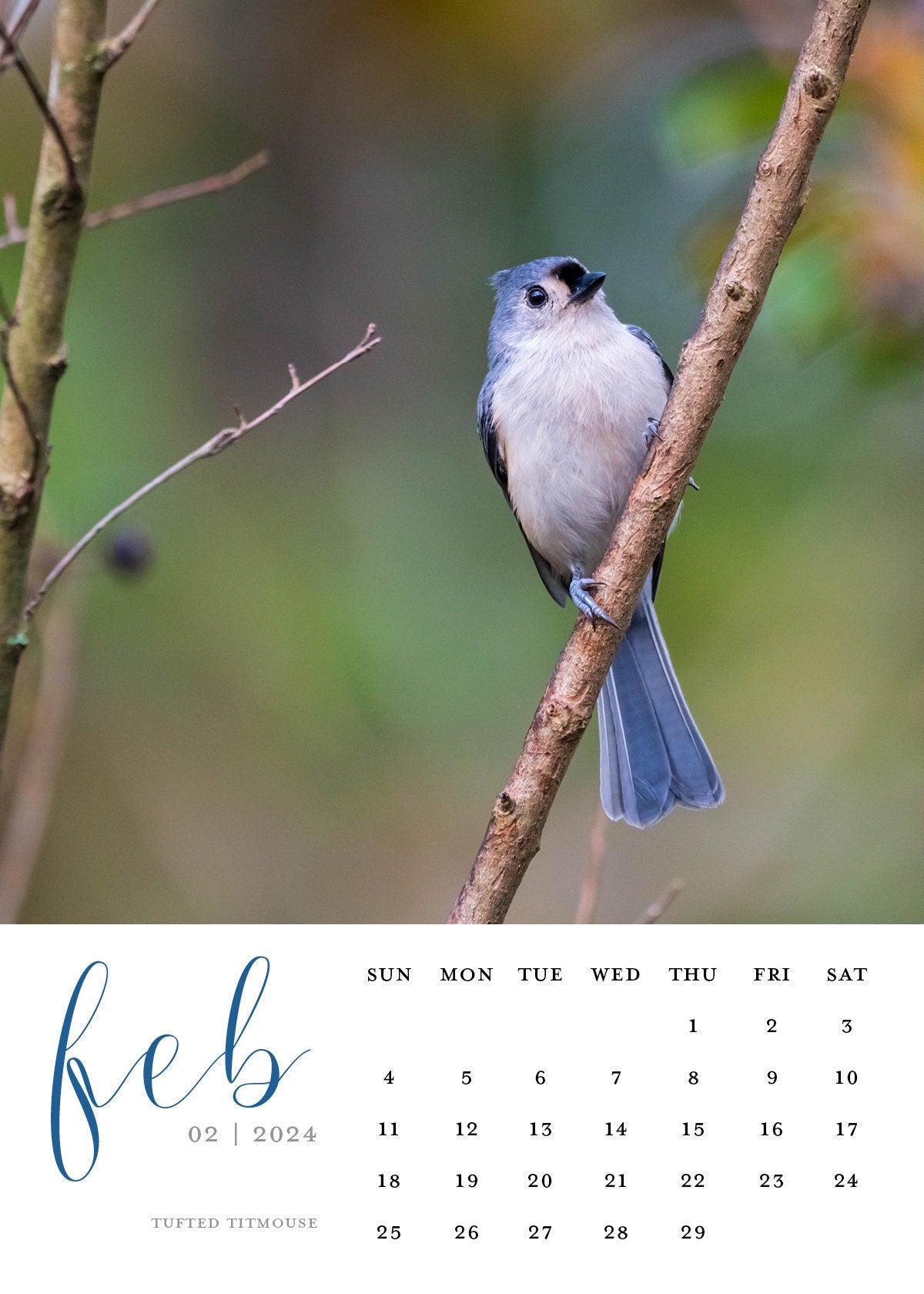 2024 Bird Photography 5x7 Desk Photography Calendar