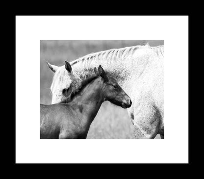 Mom and Baby | Black and White Horse Print