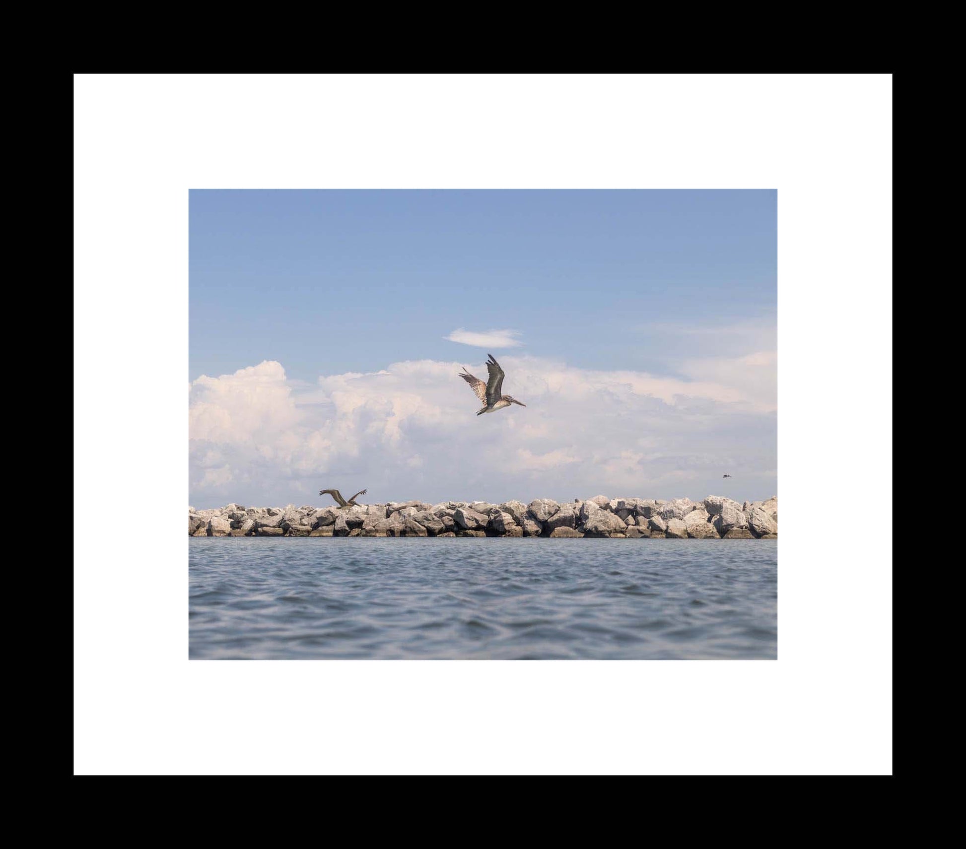 Beach Landscape Photography Print, Coastal Art, Pelicans in Flight, St Andrews State Park Jetty, Blue Skies and Blue Seas - eireanneilis