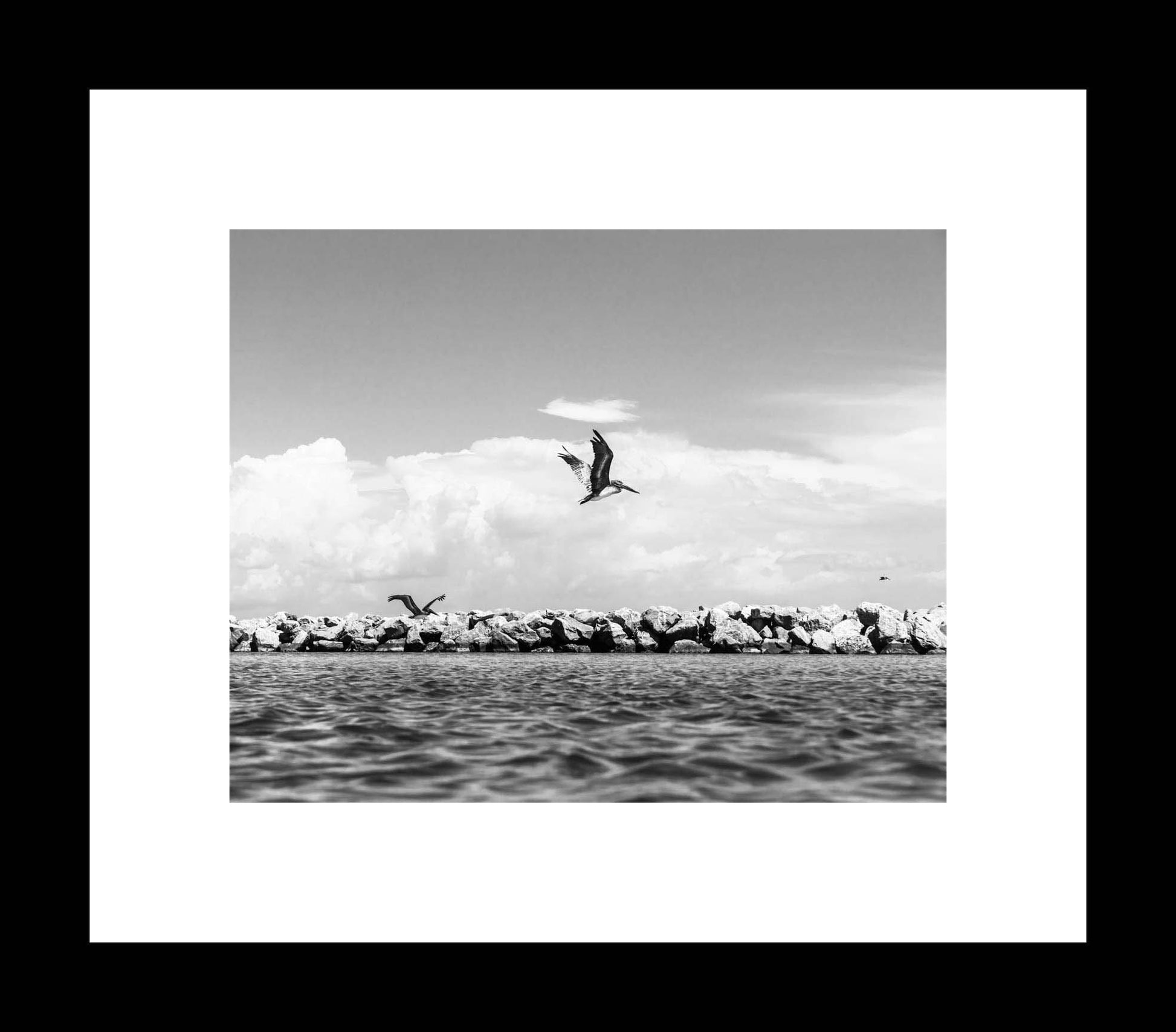 Black and White, Beach Landscape Photography Print, Coastal Art, Pelicans in Flight, St Andrews State Park Jetty, Bird Prints - eireanneilis