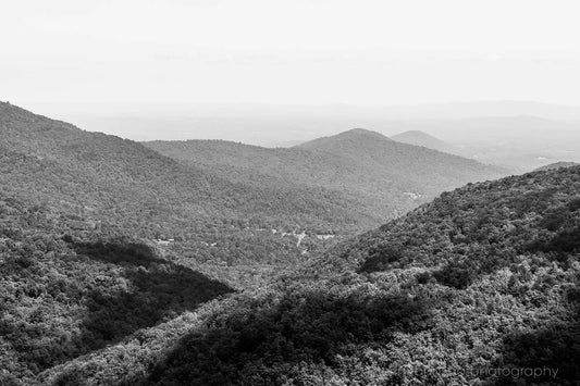 Black and White Shenandoah National Park Landscape Photography Art Print, Blue Ridge Mountains, Virginia Wall Art, Canvas or Photo - eireanneilis