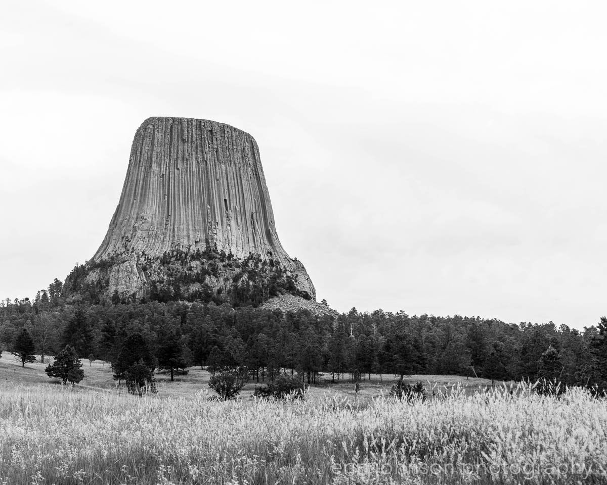 Black and White Devils Tower Landscape Photography, Wyoming National Monument, Midwestern Travel Art Print - eireanneilis