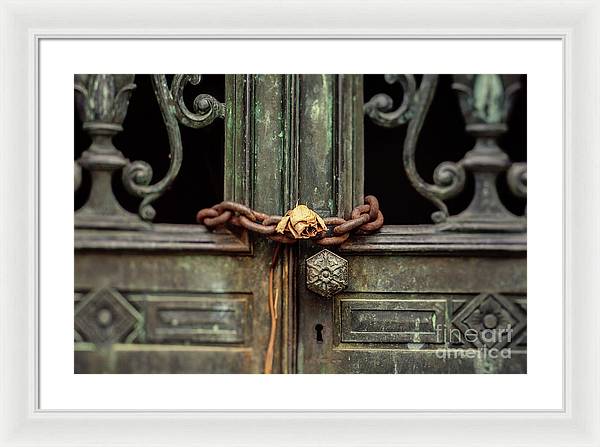 Locked by the rose - Framed Print