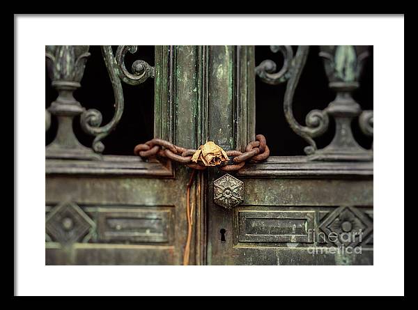 Locked by the rose - Framed Print