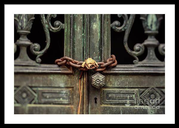 Locked by the rose - Framed Print