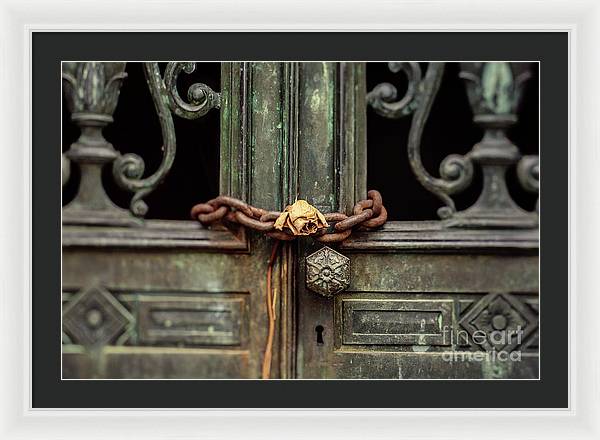 Locked by the rose - Framed Print