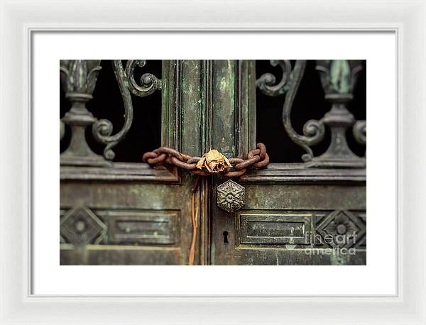 Locked by the rose - Framed Print