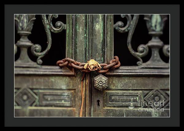 Locked by the rose - Framed Print