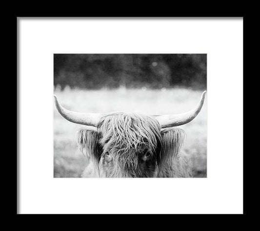 a black and white photo of a highland cow with long horns