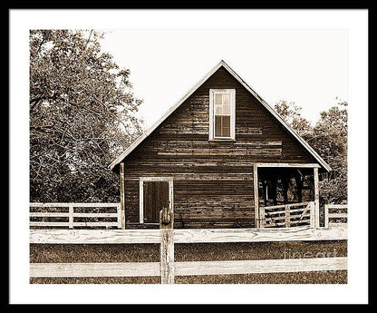 Sepia Barn - Burnt Corn, Alabama - Framed Print