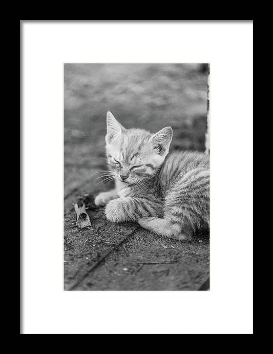 a black and white photo of a kitten sleeping